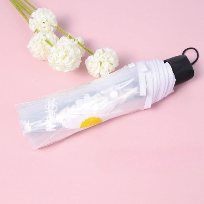 Automatic Transparent Daisy Umbrella