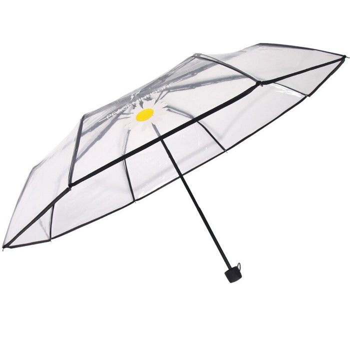 Automatic Transparent Daisy Umbrella