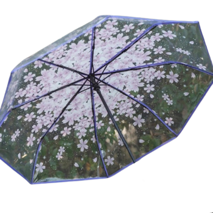 Automatic Printed Transparent Umbrella